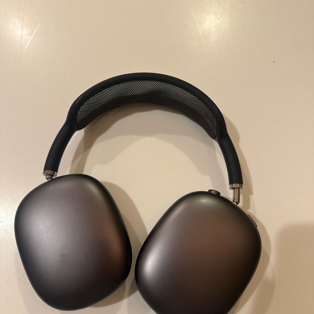 Apple Black Headphones